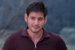 Rakul Preet Singh, Mahesh Babu updates, mahesh s next teaser work in uk, Sambha Rakul Preet Singh, Mahesh Babu updates, mahesh s next teaser work in uk, Sambha