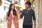 Manmadhudu 2 rating, Manmadhudu 2 Movie Tweets, manmadhudu 2 movie review rating story cast and crew, Rahul ravindran