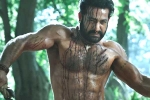 Ramaraju for Bheem teaser update, Ramaraju for Bheem new updates, ramaraju for bheem ntr s deadly transformation as komaram bheem, Best actors Ramaraju for Bheem teaser update, Ramaraju for Bheem new updates, ramaraju for bheem ntr s deadly transformation as komaram bheem, Best actors
