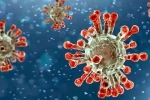 China Covid Row cases, China Covid Row news, new china coronavirus variant traced in india, Omicron