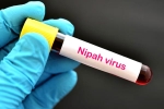 Nipah Virus death rate, Nipah Virus first case, nipah virus is back again two deaths registered, Nipah viru Nipah Virus death rate, Nipah Virus first case, nipah virus is back again two deaths registered, Nipah viru