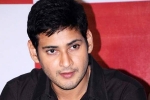 Mahesh Babu updates, Mahesh Babu, no clarity on mahesh s next title, Sambha Mahesh Babu updates, Mahesh Babu, no clarity on mahesh s next title, Sambha