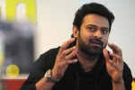 Prabhas upcoming films, Sree Leela, two young beauties in talks for prabhas next, Pelli sandad