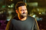 Salaar release date, Prabhas, prabhas back to the sets of salaar, Indian actors Salaar release date, Prabhas, prabhas back to the sets of salaar, Indian actors