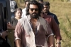 Peddi Team's Official Statement on Ram Charan's Injury Peddi Team's Official Statement on Ram Charan's Injury
