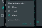 wallpaper, WABetaInfo, whatsapp to bring always mute option for chats on android, Doodle