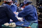 David Bennett latest, David Bennett latest, us surgeons transplant pig heart into a human patient, Maryland