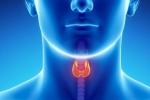 Throat Cancer types, Throat Cancer types, how to prevent throat cancer, Throat cancer types